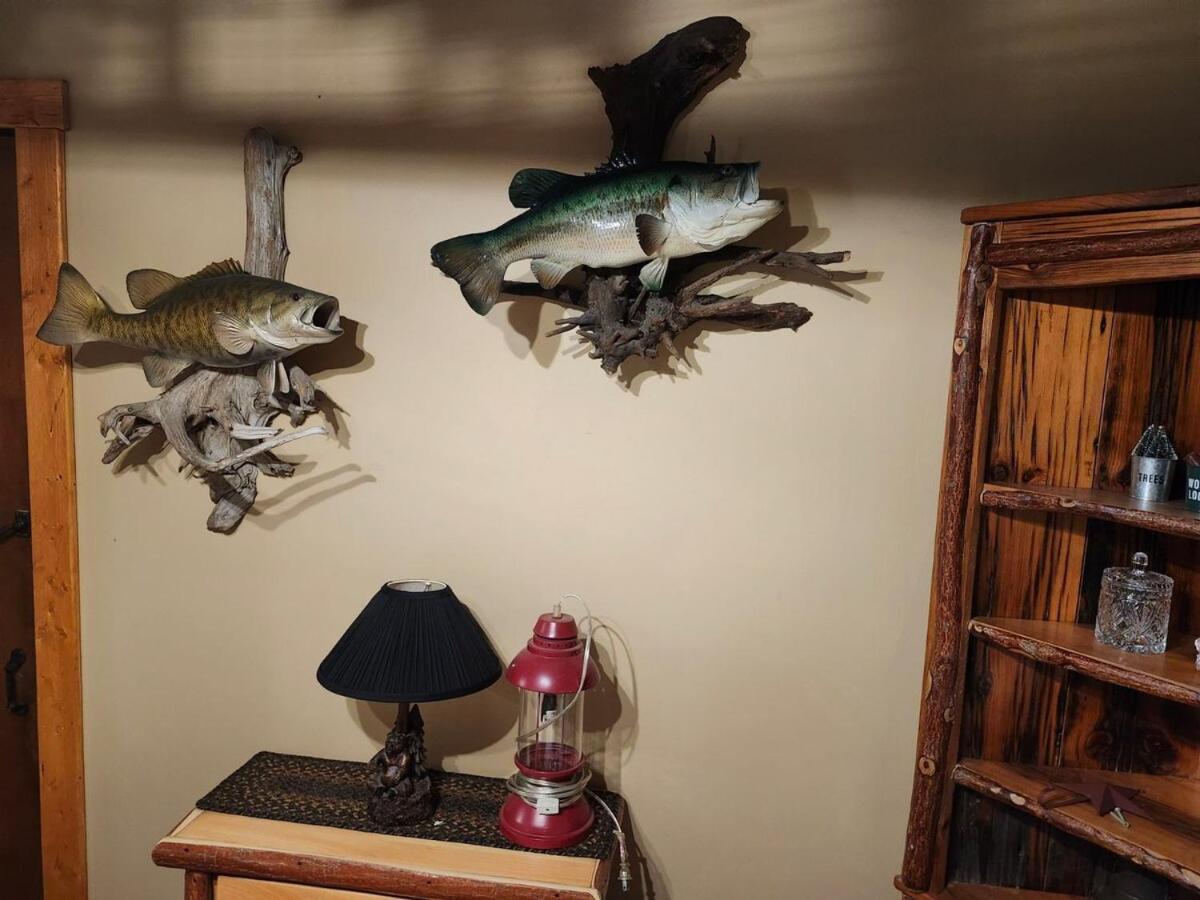 Pet Friendly Creekside Kooser St Park *